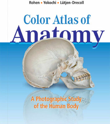 خرید و دانلود نسخه کامل کتاب Color Atlas of Anatomy: A Photographic Study of the Human Body, 7th Edition