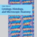 خرید و دانلود نسخه کامل کتاب Color Atlas of Cytology, Histology, and Microscopic Anatomy