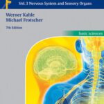 خرید و دانلود نسخه کامل کتاب Color Atlas of Human Anatomy, Vol. 3: Nervous System and Sensory Organs