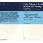 خرید و دانلود نسخه کامل کتاب Color Atlas of Human Anatomy