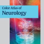 خرید و دانلود نسخه کامل کتاب Color Atlas Of Neurology