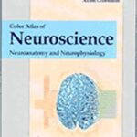 خرید و دانلود نسخه کامل کتاب Color Atlas of Neuroscience: Neuroanatomy and Neurophysiology – Orginal Pdf