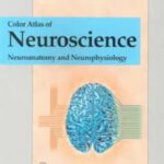 خرید و دانلود نسخه کامل کتاب Color Atlas of Neuroscience: Neuroanatomy and Neurophysiology