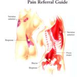 خرید و دانلود نسخه کامل کتاب Color maps – Trigger points / Цветные схемы – Триггерные точки