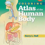 خرید و دانلود نسخه کامل کتاب Coloring Atlas of the Human Body