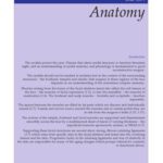 خرید و دانلود نسخه کامل کتاب Colour atlas of ophthalmic plastic surgery