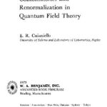 خرید و دانلود نسخه کامل کتاب Combinatorics and renormalization in quantum field theory