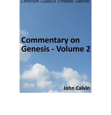 خرید و دانلود نسخه کامل کتاب Commentary on Genesis. Volume 2