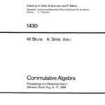 خرید و دانلود نسخه کامل کتاب Commutative Algebra: Proceedings of a Workshop held in Salvador, Brazil, Aug. 8–17, 1988