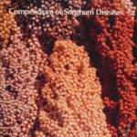 خرید و دانلود نسخه کامل کتاب Compendium of Sorghum Diseases