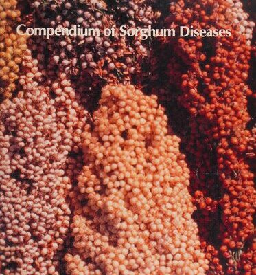 خرید و دانلود نسخه کامل کتاب Compendium of Sorghum Diseases