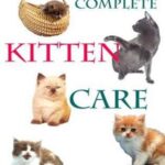 خرید و دانلود نسخه کامل کتاب Complete Kitten Care