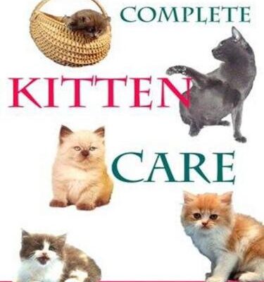 خرید و دانلود نسخه کامل کتاب Complete Kitten Care