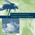 خرید و دانلود نسخه کامل کتاب Complex Worlds from Simpler Nervous Systems (Bradford Books)