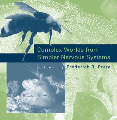 خرید و دانلود نسخه کامل کتاب Complex Worlds from Simpler Nervous Systems (Bradford Books)