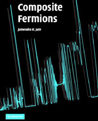 خرید و دانلود نسخه کامل کتاب Composite fermions
