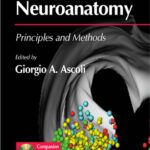 خرید و دانلود نسخه کامل کتاب Computational Neuroanatomy: Principles and Methods