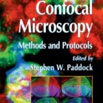 خرید و دانلود نسخه کامل کتاب Confocal microscopy methods and protocols