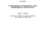 خرید و دانلود نسخه کامل کتاب Conformal invariance and statistical mechanics