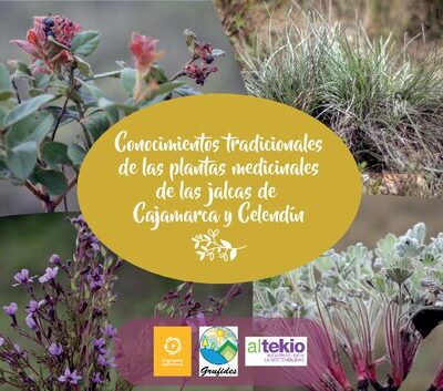 خرید و دانلود نسخه کامل کتاب Conocimientos tradicionales de las plantas medicinales de las jalcas de Cajamarca y Celendín