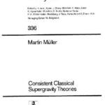 خرید و دانلود نسخه کامل کتاب Consistent Classical Supergravity Theories