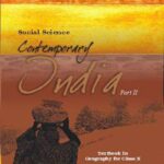 خرید و دانلود نسخه کامل کتاب Contemporary India Part II