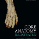 خرید و دانلود نسخه کامل کتاب Core Anatomy – Illustrated