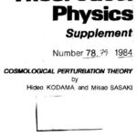 خرید و دانلود نسخه کامل کتاب Cosmological perturbation theory