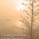 خرید و دانلود نسخه کامل کتاب Countertransference and the Therapist’s Inner Experience: Perils and Possibilities