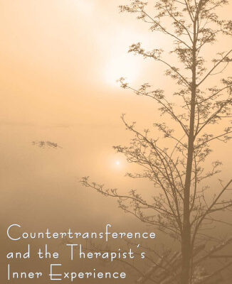 خرید و دانلود نسخه کامل کتاب Countertransference and the Therapist’s Inner Experience: Perils and Possibilities
