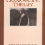 خرید و دانلود نسخه کامل کتاب Craniosacral Therapy