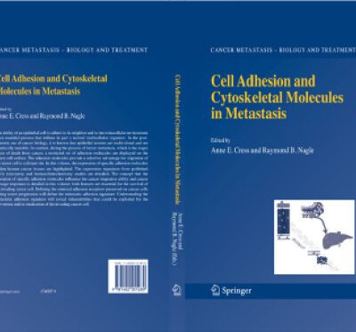 خرید و دانلود نسخه کامل کتاب Cress Cell Adhesion and Cytoskeletal Molecules in Metastasis