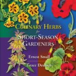 خرید و دانلود نسخه کامل کتاب Culinary herbs for short-season gardens