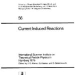 خرید و دانلود نسخه کامل کتاب Current Induced Reactions