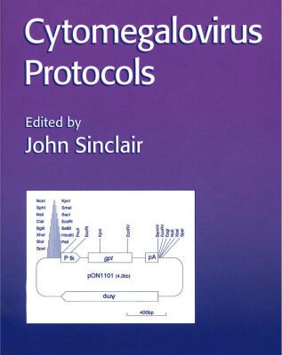 خرید و دانلود نسخه کامل کتاب Cytomegalovirus Protocols