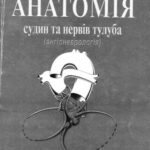 خرید و دانلود نسخه کامل کتاب Анатомія судин та нервів тулуба