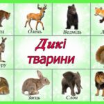 خرید و دانلود نسخه کامل کتاب Навчальні тематичні карточки для ДНЗ (20 шт)
