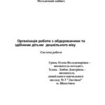 خرید و دانلود نسخه کامل کتاب Організація роботи з обдарованими та здібними дітьми дошкільного віку (Система роботи)