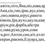 خرید و دانلود نسخه کامل کتاب Практичний матеріал з розвитку ЛГКМС для учнів 3-4 класів із ЗПР