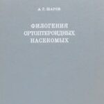 خرید و دانلود نسخه کامل کتاب Филогения ортоптероидных насекомых
