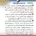 خرید و دانلود نسخه کامل کتاب كتاب قواعد الرقية الشرعية
