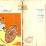 خرید و دانلود نسخه کامل کتاب کلوچه فراری