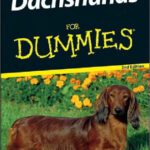 خرید و دانلود نسخه کامل کتاب Dachshunds For Dummies, 2nd edition (For Dummies (Pets))