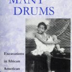 خرید و دانلود نسخه کامل کتاب Dancing Many Drums: Excavations in African American Dance
