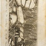 خرید و دانلود نسخه کامل کتاب Das Fichtelgebirge, nach vielen Reisen auf demselben beschrieben