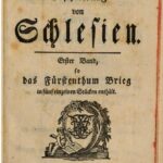 خرید و دانلود نسخه کامل کتاب Das Fürstenthum Brieg