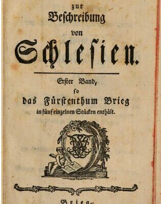 خرید و دانلود نسخه کامل کتاب Das Fürstenthum Brieg