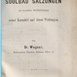 خرید و دانلود نسخه کامل کتاب Das Soolbad Salzungen mit besonderer Berücksichtigung seiner Kurmittel und deren Wirkungen