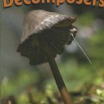 خرید و دانلود نسخه کامل کتاب Decomposers (Nature’s Food Chain)