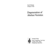 خرید و دانلود نسخه کامل کتاب Degeneration of abelian varieties